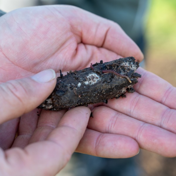 close up photo of a pair of hands holding a soil sample