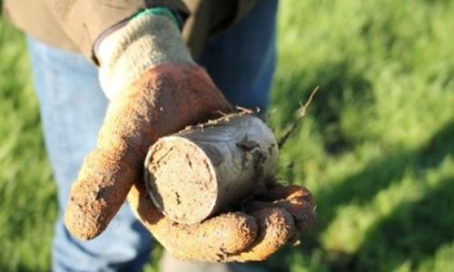 soil testing