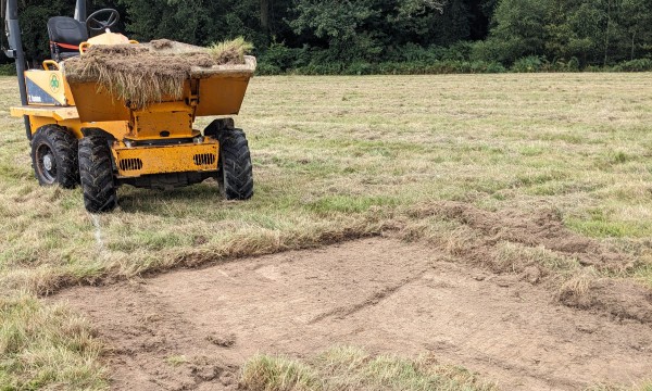 turf removal