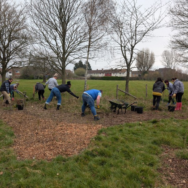 Volunteers weeding a mini forest