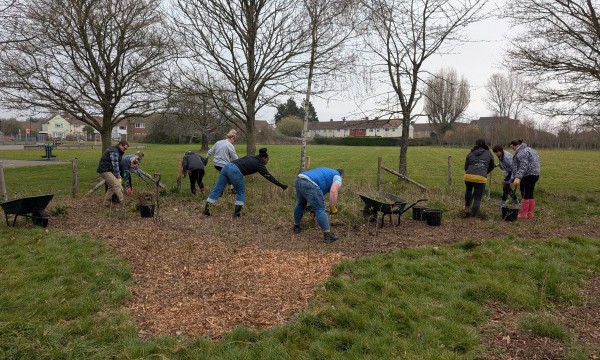 gardening volunteers