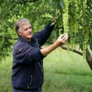 David Jewell working in the garden
