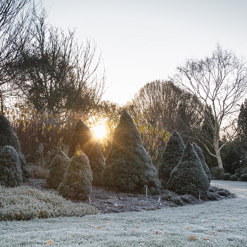 The Winter Garden