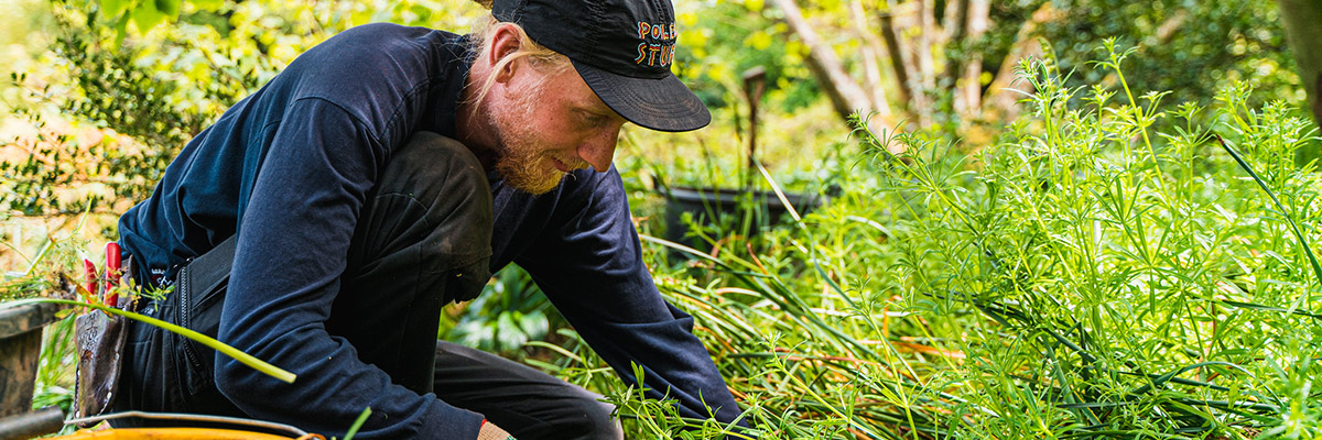 Gardener at work