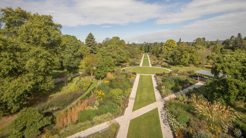 Aerial view of the centenary border at Sir Harold Hillier Gardens