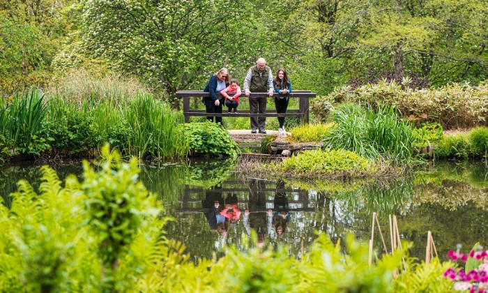 Pond at Sir Harold Hillier Gardens