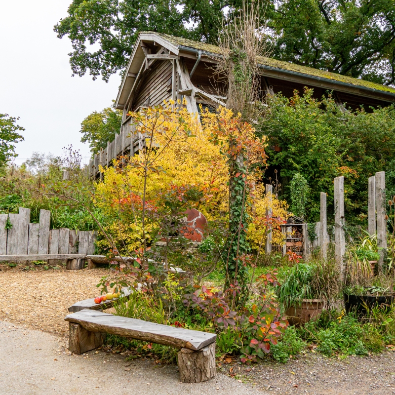 A rustic wooden barn-style building surrounded by colourful foliage