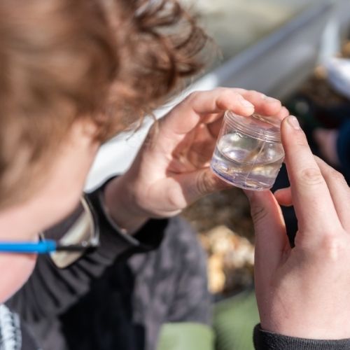 A child looking at a specimen in a jar