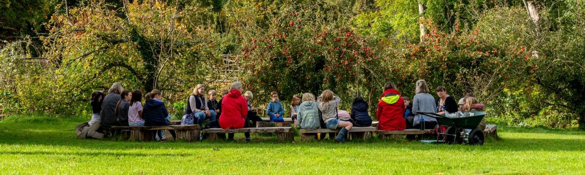 Group of school-age children seated on benches in a woodland setting