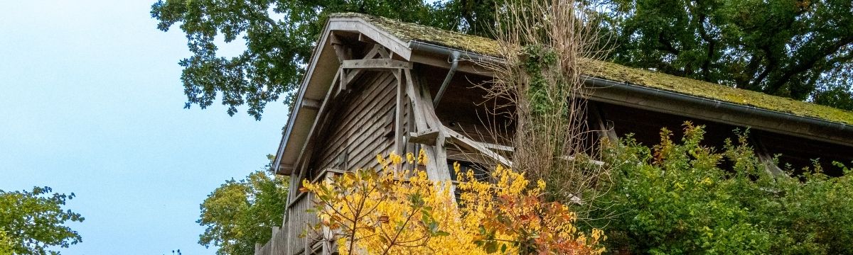 A building amongst the trees