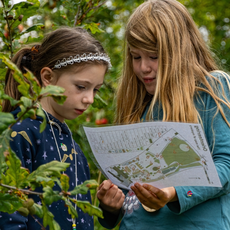 Children amongst trees looking at a map