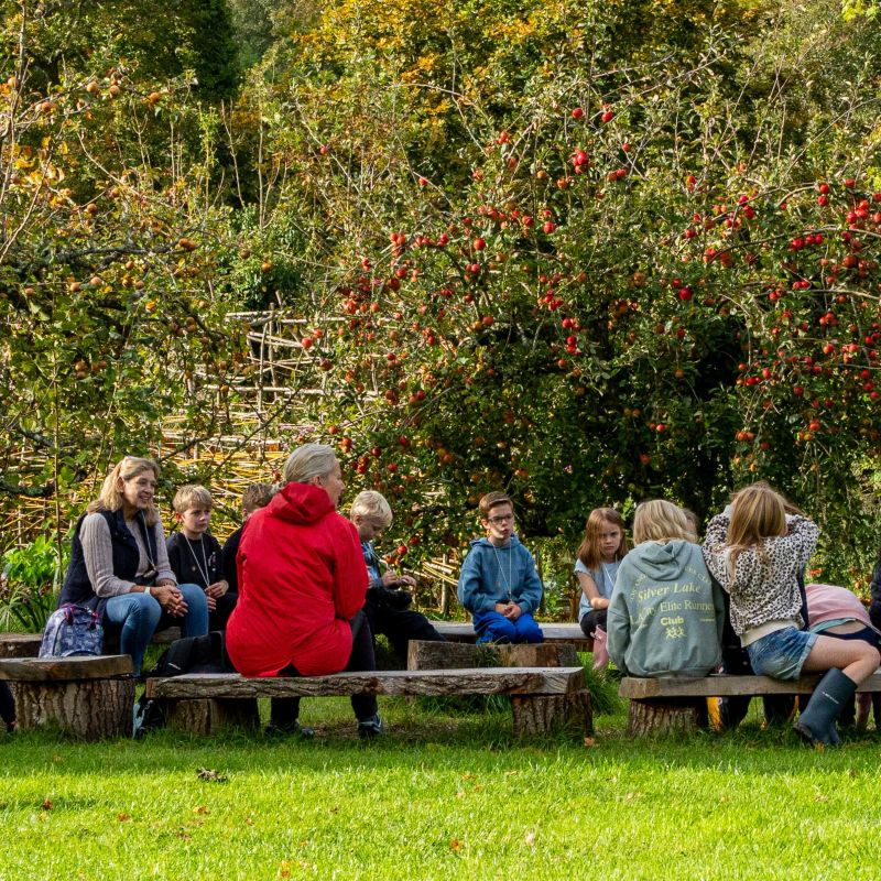 Group of school-age children seated on benches in a woodland setting