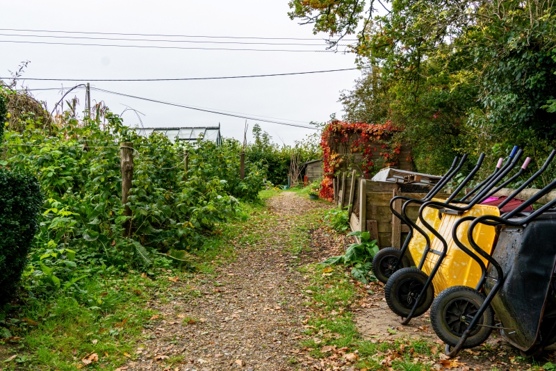 Path through green vegetation with a row of wheelbarrows lined up at the side