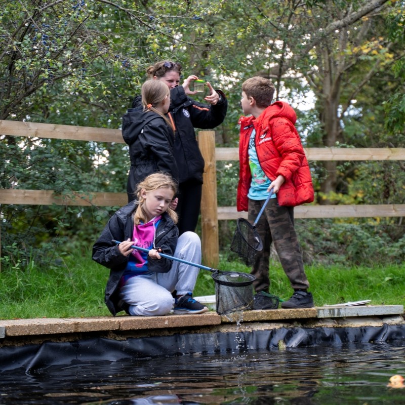 Children doing pond dipping and looking at what they caught