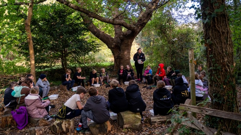 Group of children having an outdoor lesson in a woodland setting