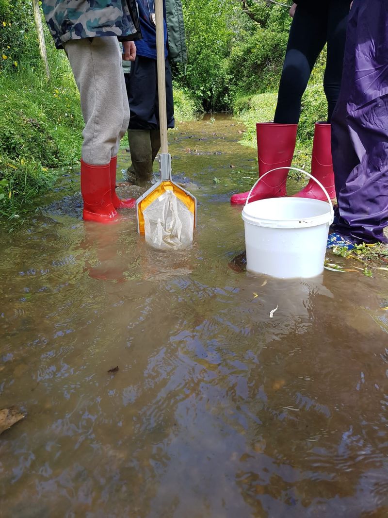 Children paddling in a stream with buckets and nets