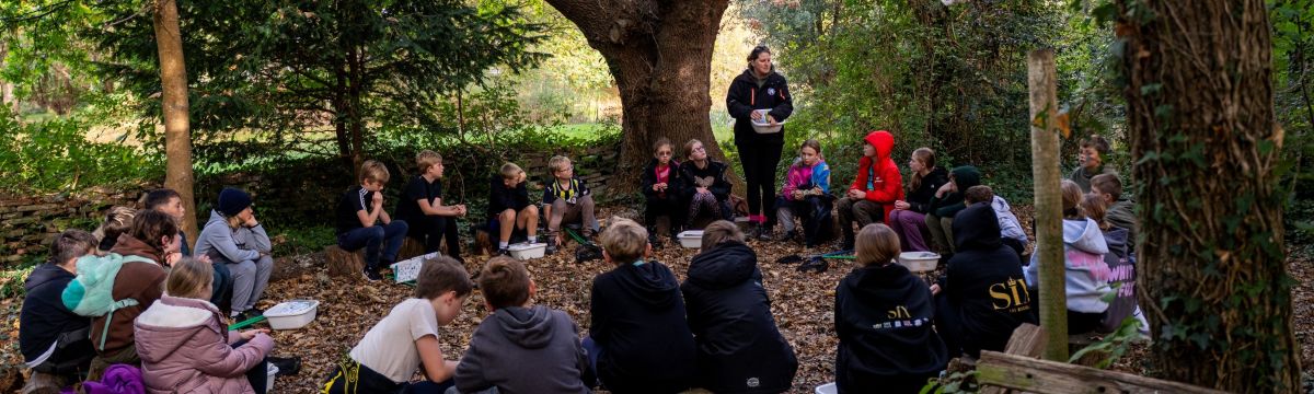 Group of children seated in a woodland area listening to a teacher