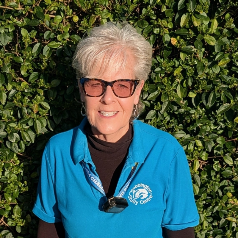 Mrs Unwin