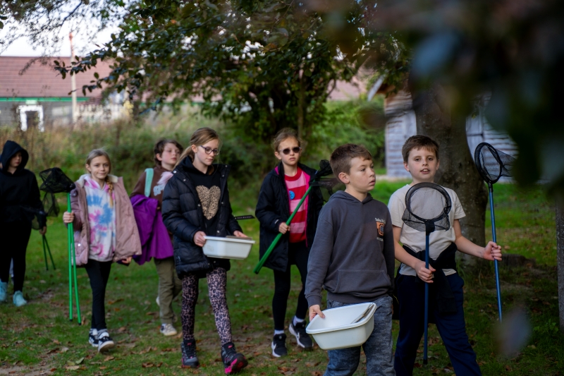 Group of children carrying nets and buckets ready for pond dipping