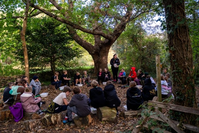 Group of seated children listening to a teacher in an outdoor woodland setting