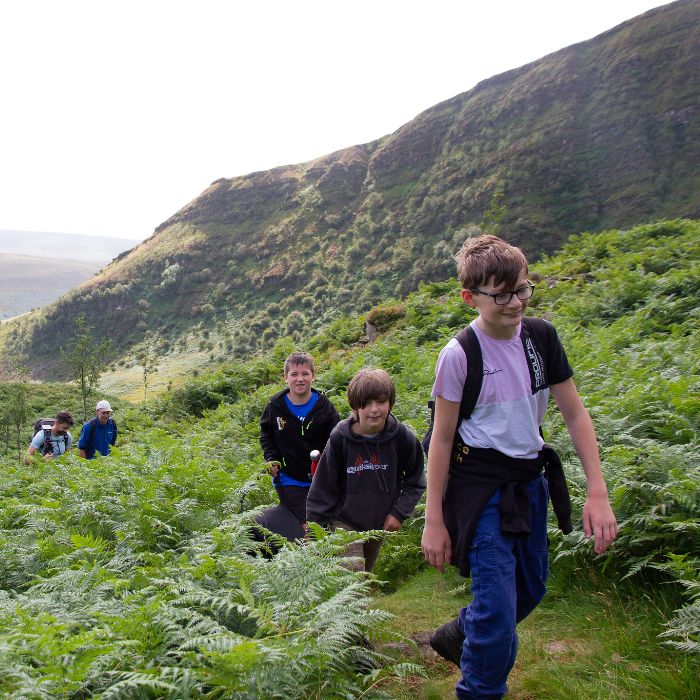 A group of hikers walking through a lush, green fern-covered landscape with rolling hills in the background. One individual in the foreground is wearing a backpack, with others following behind.