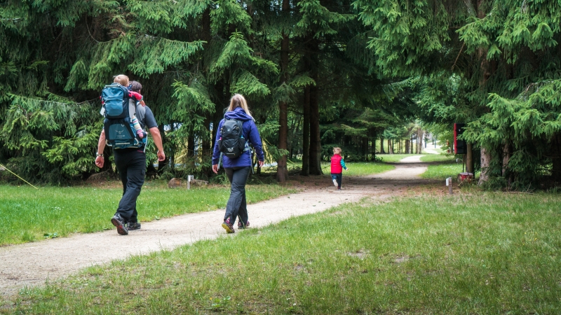 Family walking along a path through a woodland