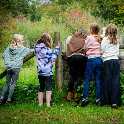 Group of children looking over a fence in a woodland environment