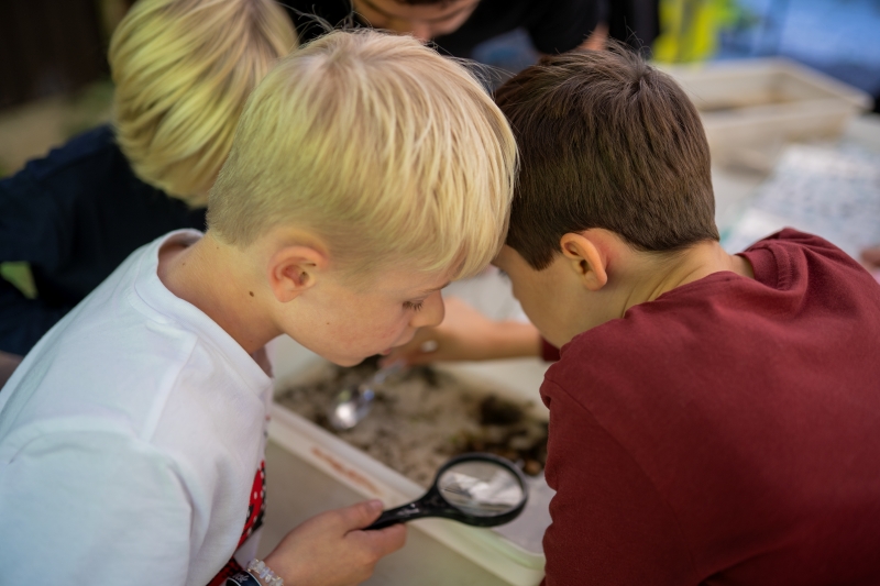 Children inspecting their pond dipping catch with a magnifying glass