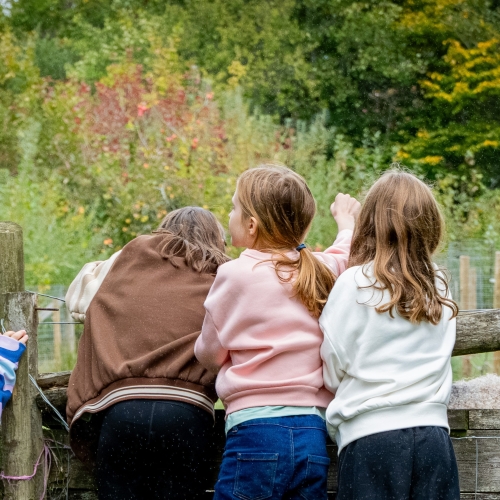 Three children standing on a bridge