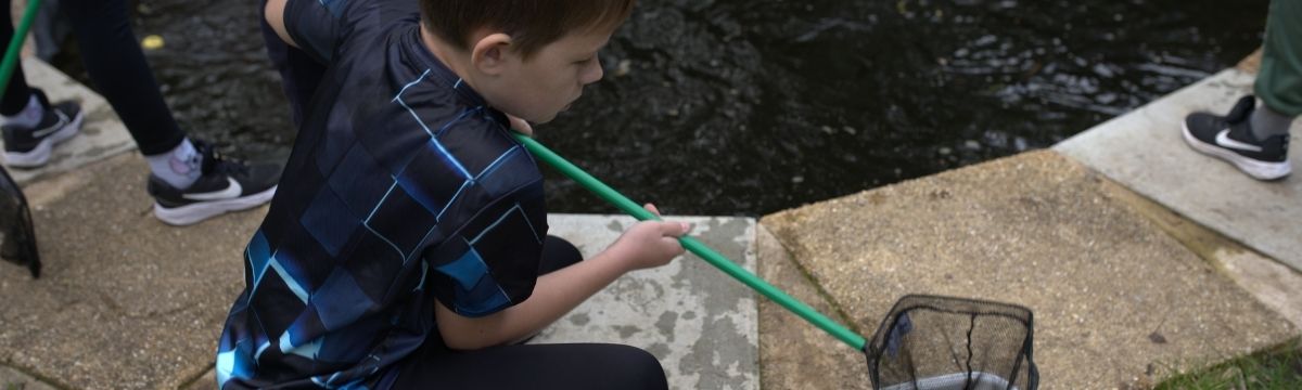 A child emptying their net into a tray while pond dipping