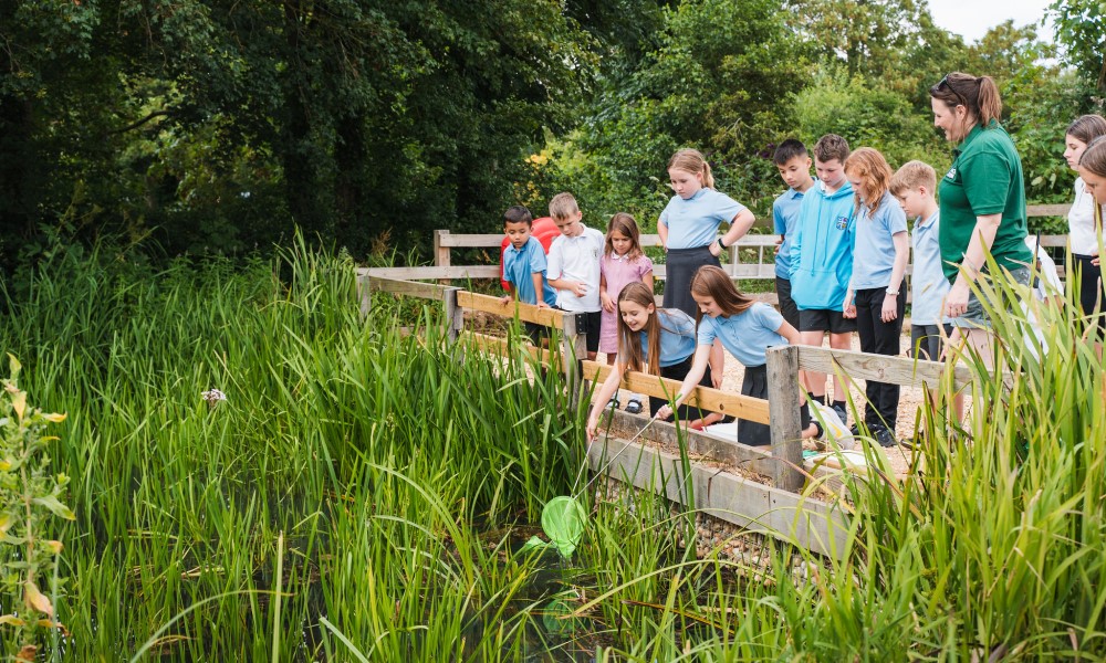 Pond dipping
