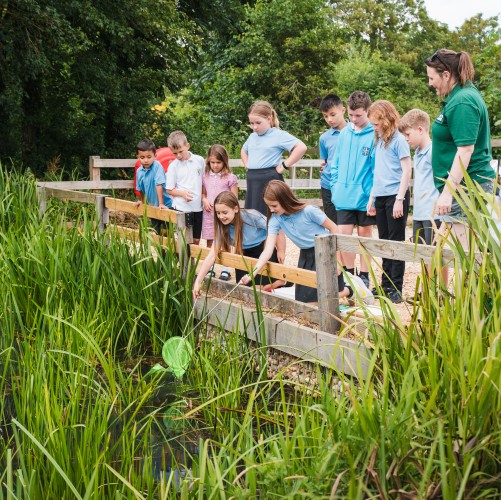 Teachers and pupils down by the river