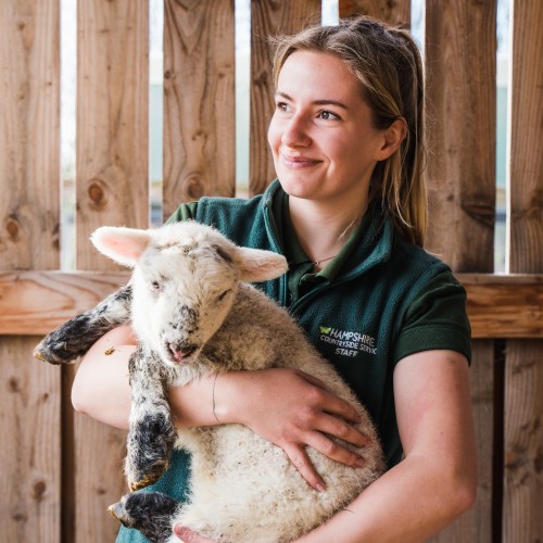 Volunteer Farm hand