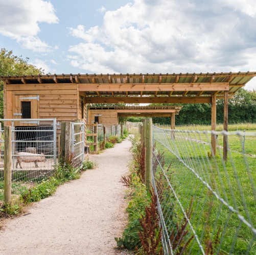 Wooden sheds