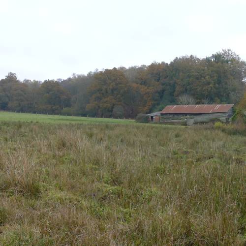 grassland and building