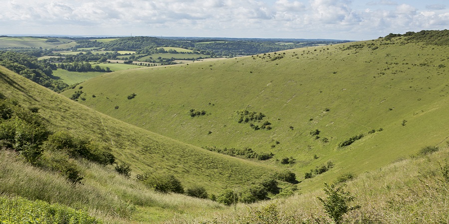 Sweeping view of Butser Hill