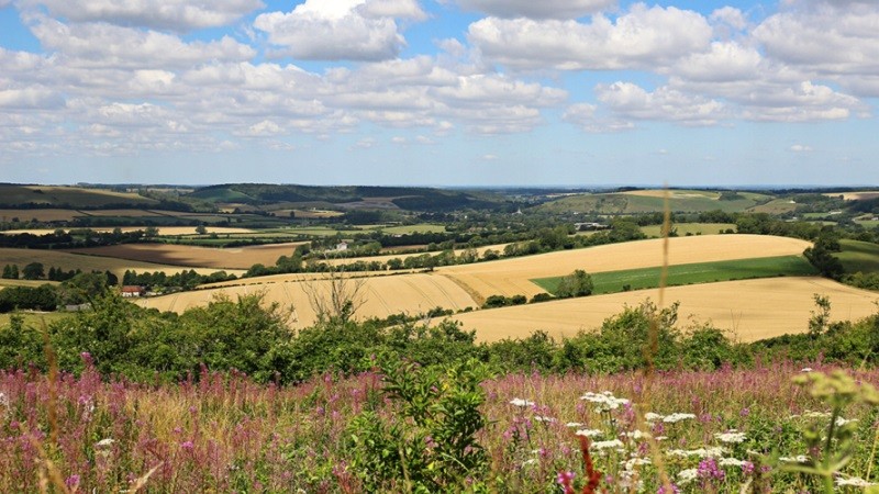 Sweeping view from Queen Elizabeth Country Park