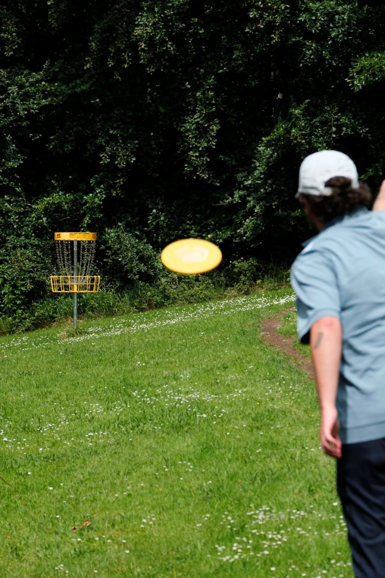 Man in a grassy woodland area playing disc golf
