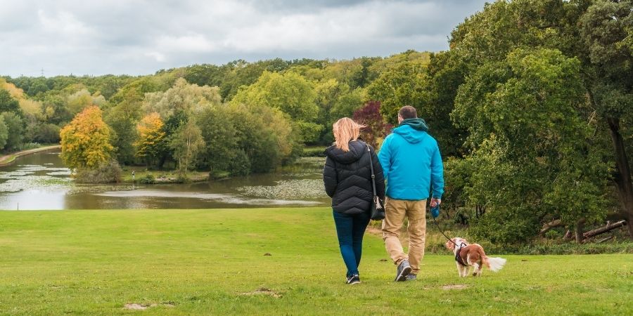 A couple walking their dog at Staunton Country Park
