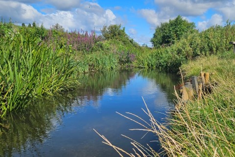 Afternoon sun over Titchfield Haven