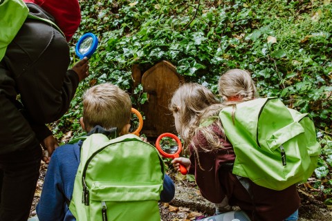 Children investigating a fairy door