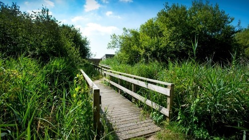 Wooden footbridge crossing wetlands to a bird hide in the distance