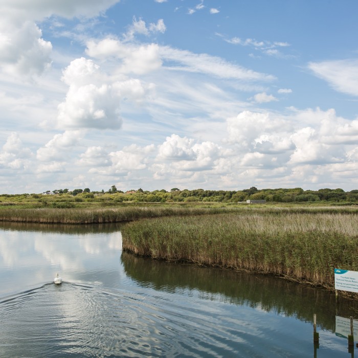 Titchfield Haven wetlands
