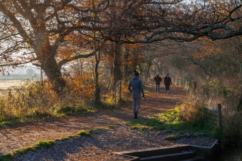 People walking at Titchfield Haven