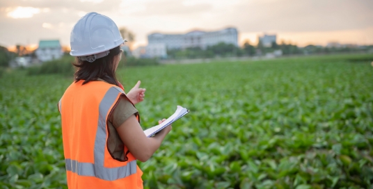 women noticing in a field
