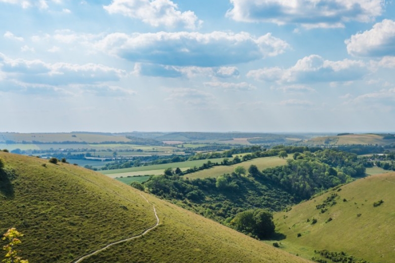 Queen Elizabeth Country Park