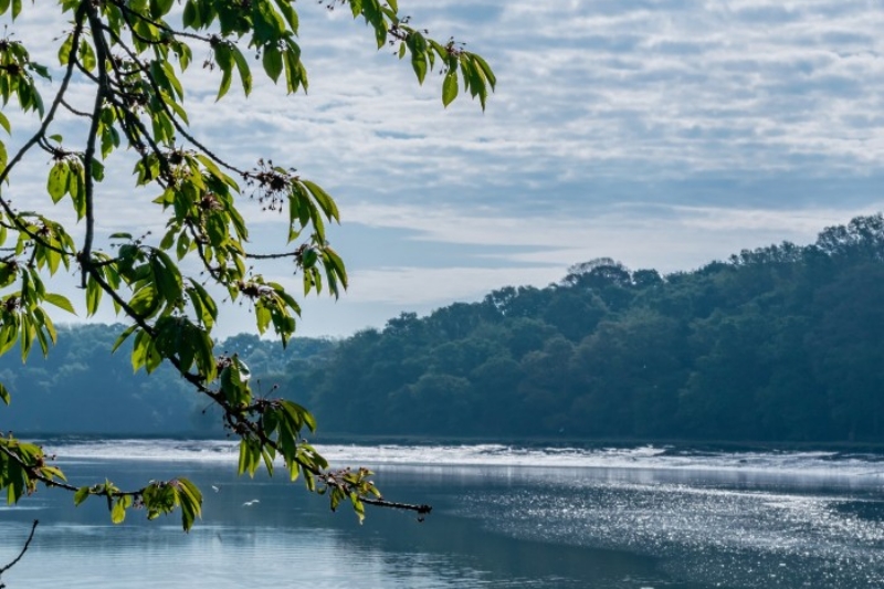River Hamble Country Park