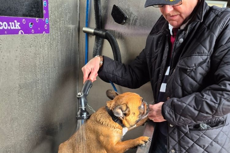 A man and a dog using the dog wash station