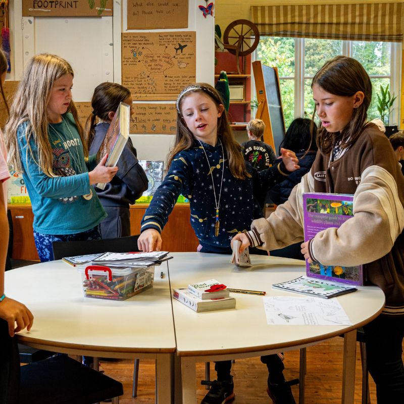 A group of children in the classroom at Minstead