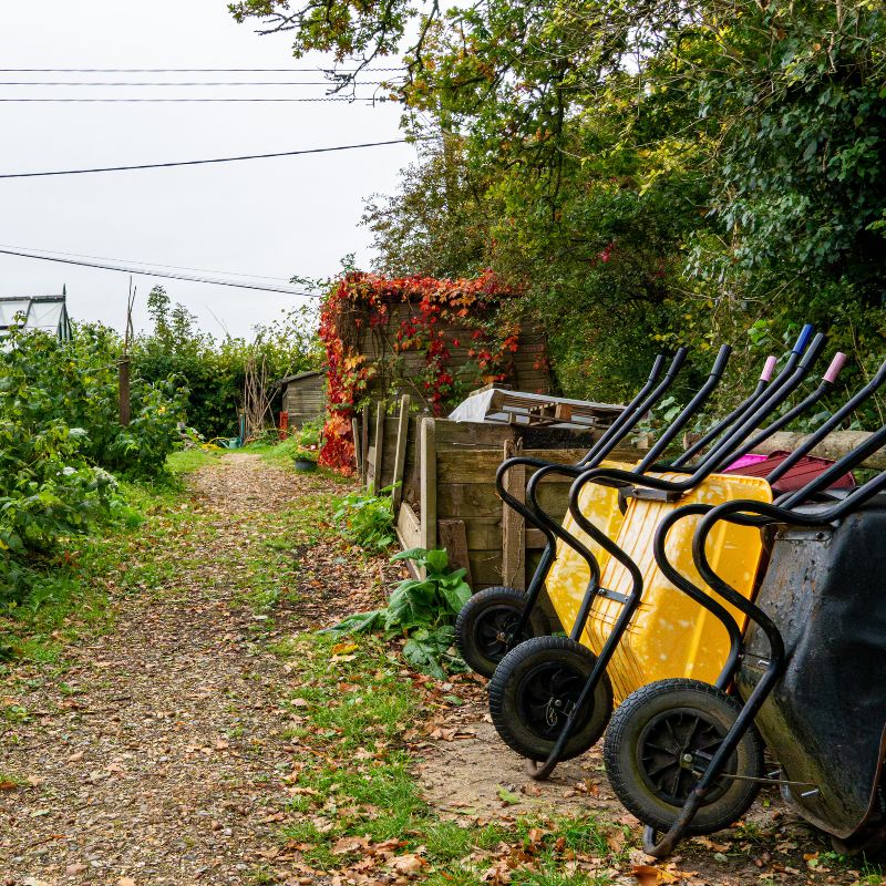 Outdoor grounds at Minstead Study Centre showing a gravel path bordered by trees and vegetation, with wheelbarrows stored along a wooden fence.